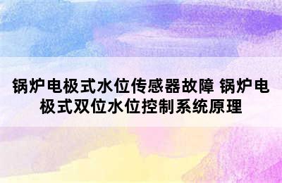 锅炉电极式水位传感器故障 锅炉电极式双位水位控制系统原理